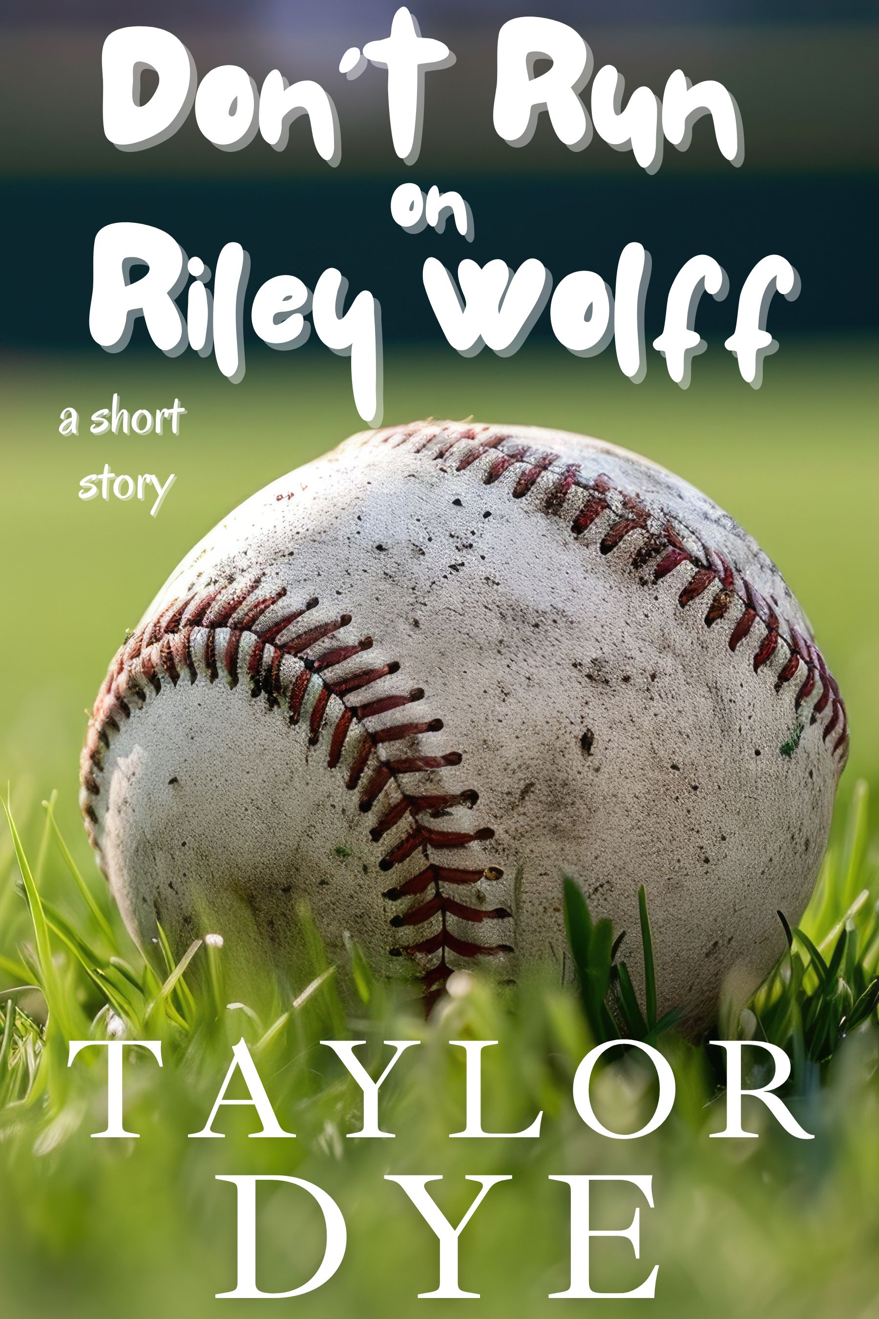 Don't Run On Riley Wolff Book Cover